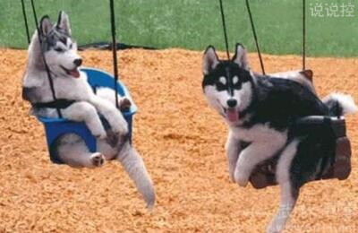 ���ڸ�Ц��˵˵�����ڸ�Ц�ľ���