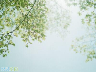 ů�ĵĻ���ů�ĵ�˵˵��ů�ĵľ���˵˵����