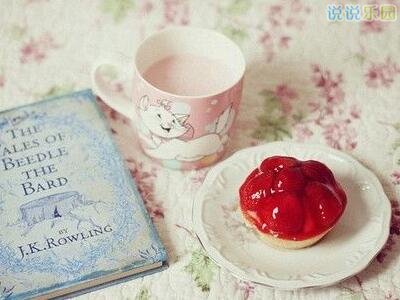 ��־������˵˵��ͼƬ12