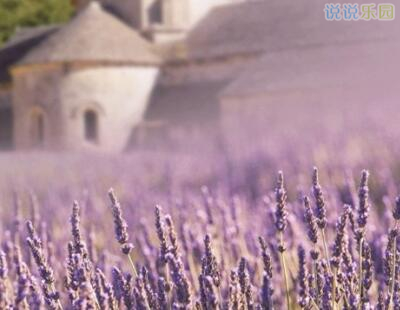 给自己的说说心情短语 给自己的说说心情短语