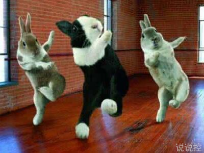 搞笑逗比说说大全,适合发说说的逗比段子 搞笑逗比说说大全,适合发说说的逗比段子