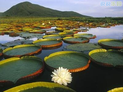 ��־������˵˵��ͼƬ3