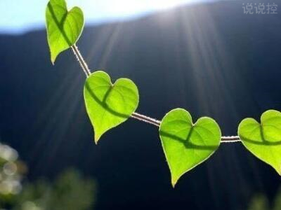 唯美心情说说,唯美心情句子 唯美心情说说,唯美心情句子