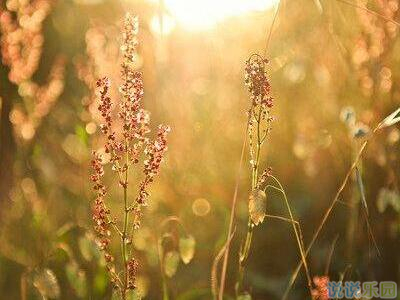 ��־������˵˵��ͼƬ6