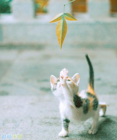 文艺简短说说配图,女生文艺风说说配图7 文艺简短说说配图,女生文艺风说说配图7