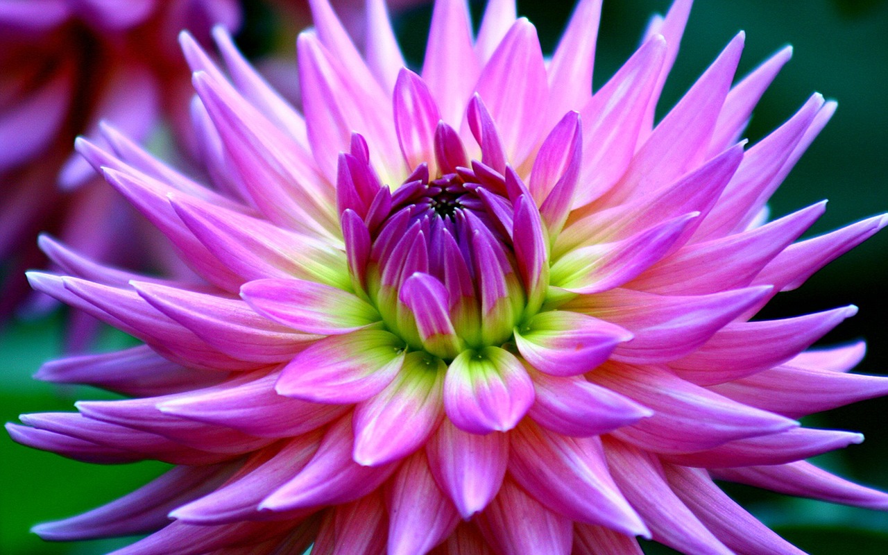  �� �� ��