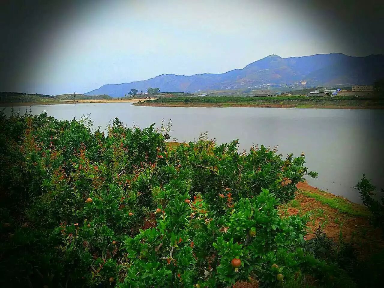 ���µĻ���