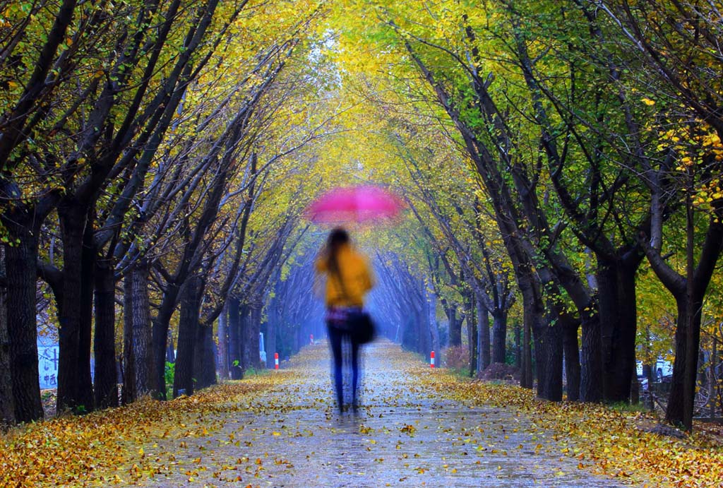 ����    �꡷