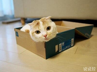 QQ�ռ�����˵˵�������ŵ�˵˵