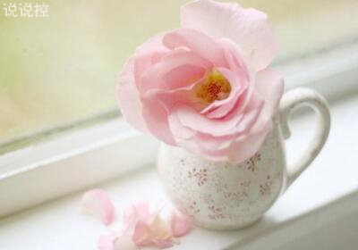 英文说说心情短语,英文说说带翻译 英文说说心情短语,英文说说带翻译