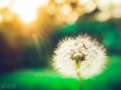 关于悲伤的说说,悲伤的句子说说心情 关于悲伤的说说,悲伤的句子说说心情