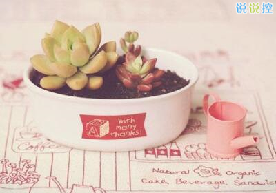 个性语录超拽霸气,一句话个性语录 个性语录超拽霸气,一句话个性语录