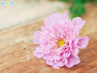 朋友圈个性说说,必点赞的朋友圈说说 朋友圈个性说说,必点赞的朋友圈说说