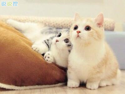 微信个性说说心情,微信个性说说2018 微信个性说说心情,微信个性说说2018