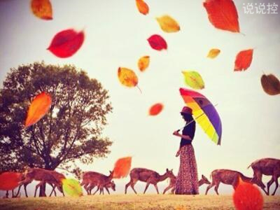 个性语录超拽霸气,一句话个性语录 个性语录超拽霸气,一句话个性语录