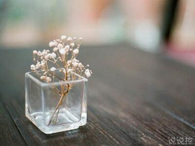 ������ֵ�˵˵�����ְ���˵˵�������