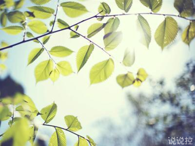 2018感悟人生的说说,感悟人生的经典句子 2018感悟人生的说说,感悟人生的经典句子