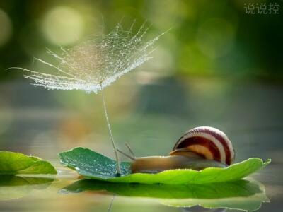 最火的说说句子,文字控很火的说说 最火的说说句子,文字控很火的说说