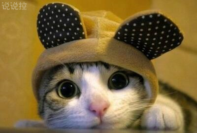 关于天气冷的说说,天凉了的说说 关于天气冷的说说,天凉了的说说