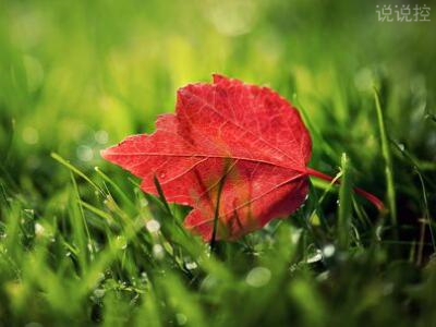 2018����˵˵��2018����ǩ��