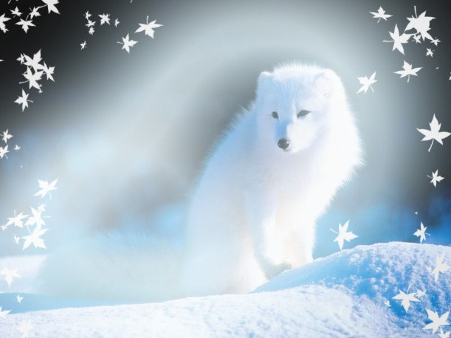 ���� ��Ե��